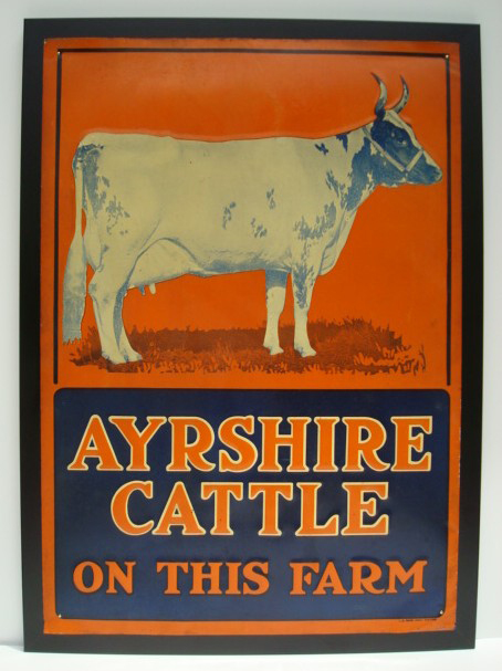 Antique Ayrshire cattle sign artwork